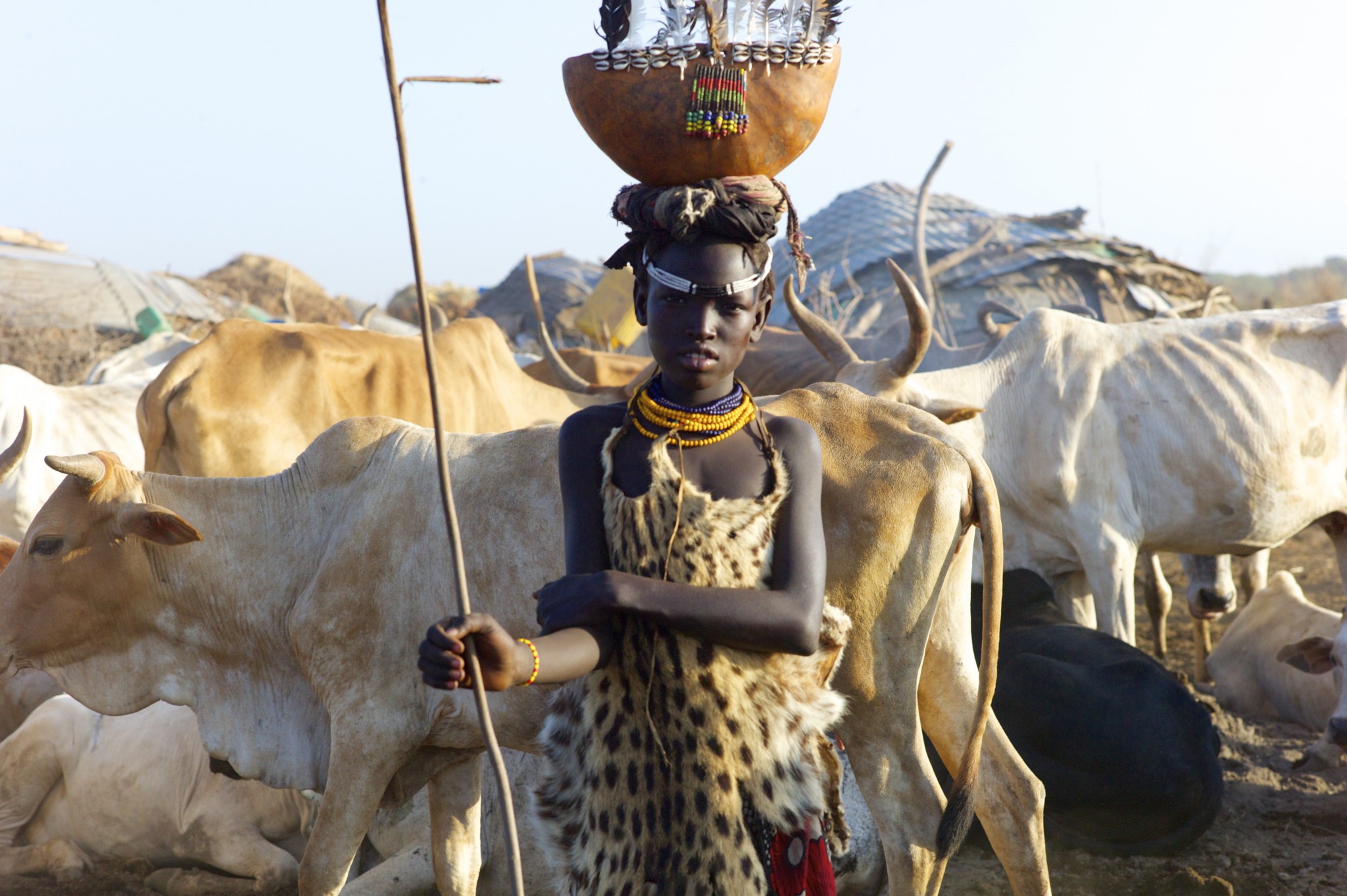 young girl with cattle Dassanech tribe
